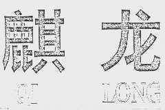 麒龙