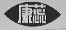 康蕊