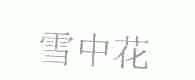 雪中花