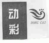 动彩