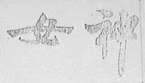 女神