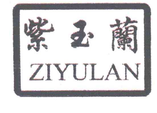 紫玉兰