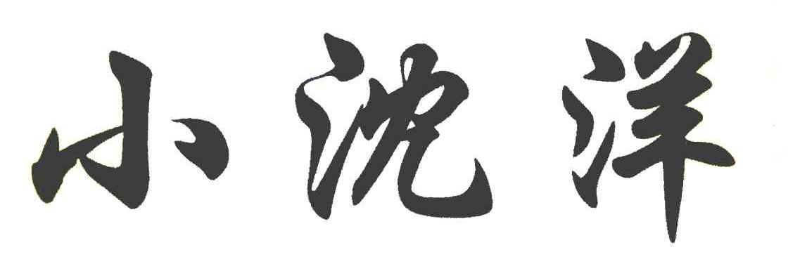 小沈洋