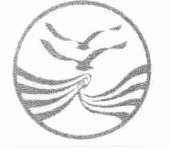 图形