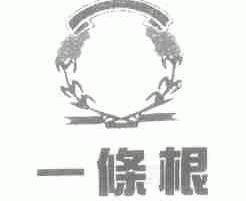 一条根