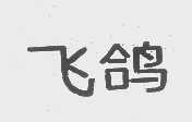 飞鸽