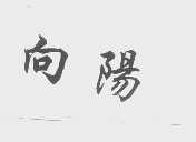 向阳