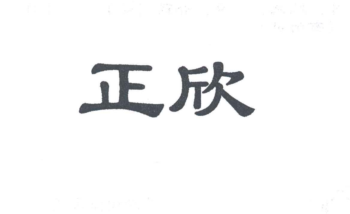 正欣
