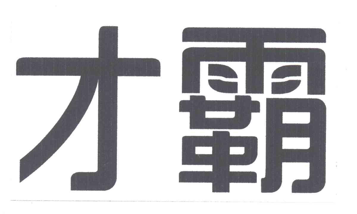 才霸