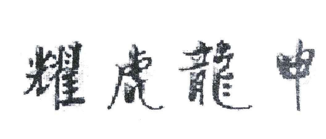 耀虎龙申
