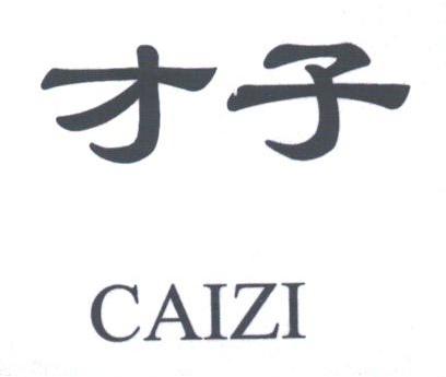 才子