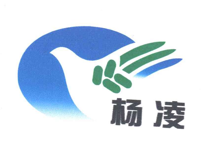杨凌