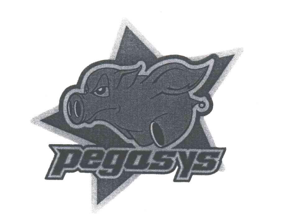 图形;PEGASYS