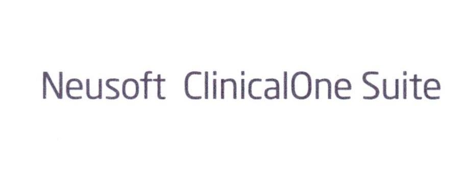 NEUSOFT CLINICALONE SUITE