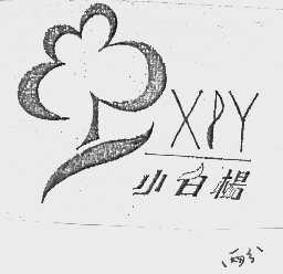 小白杨   XBY