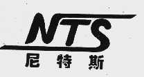 尼特斯  NTS
