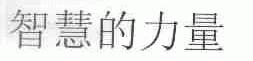 智慧的力量