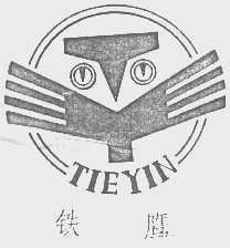 铁鹰