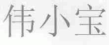 伟小宝
