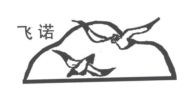 飞诺
