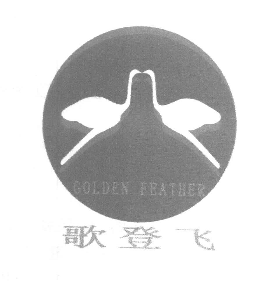 歌登飞 GOLDEN FEATHER