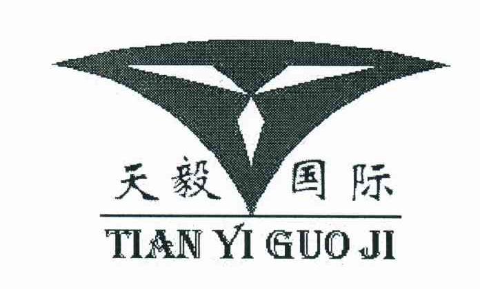 天毅国际