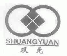 双元