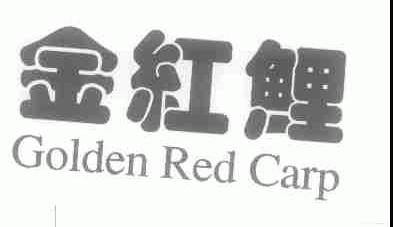 金红鲤;GOLDEN RED CARP