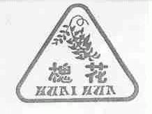 槐花