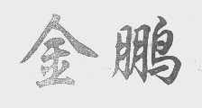 金鹏