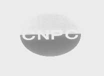 CNPC