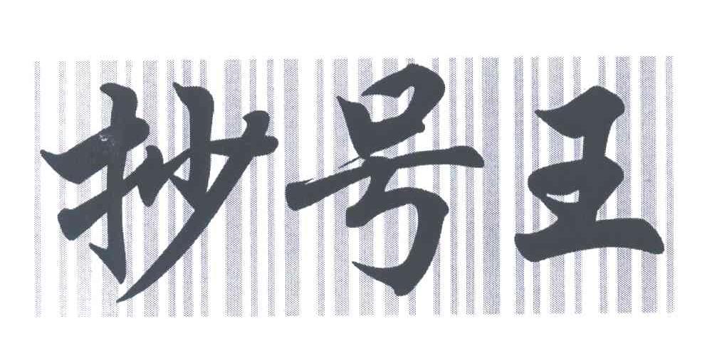 抄号王