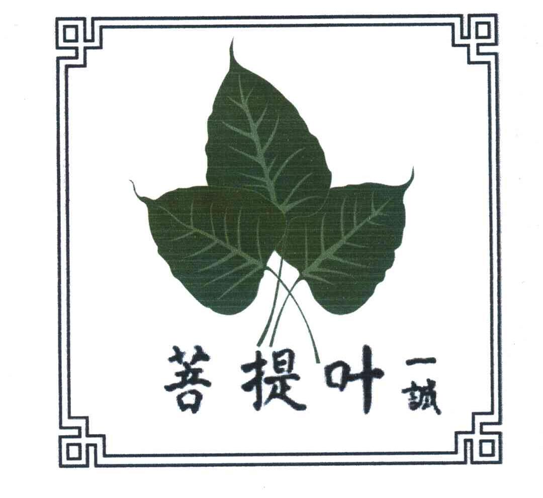 菩提叶一诚