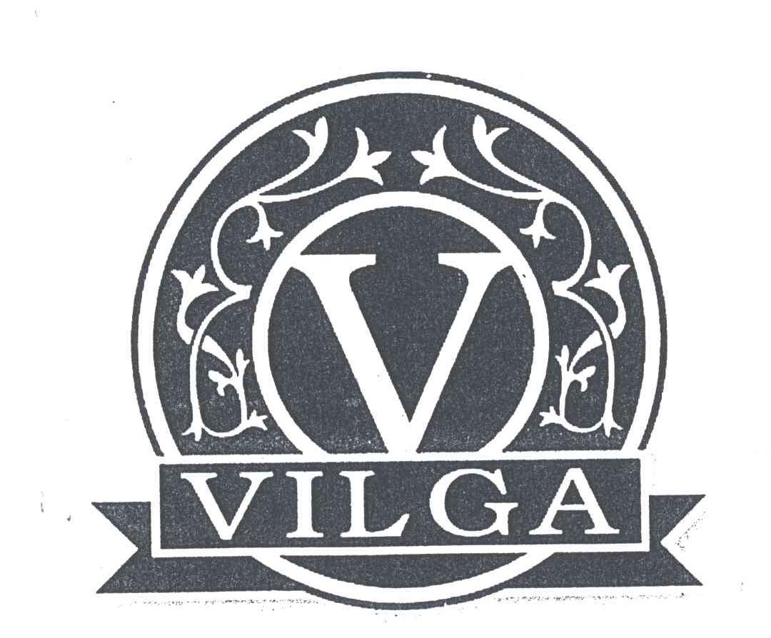VILGA及V图