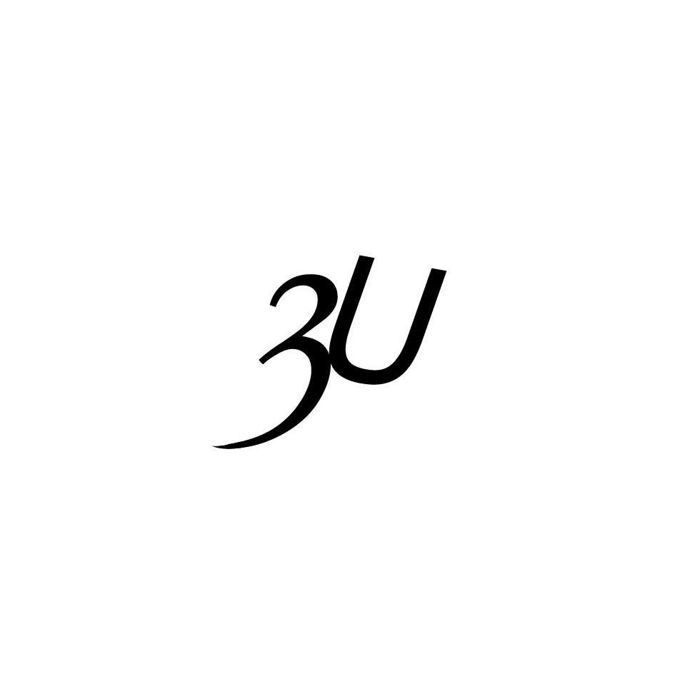3U
