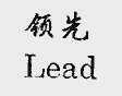 领先;LEAD