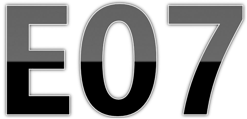E 07