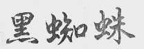 黑蜘蛛