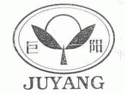 巨阳