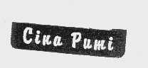 CIHA PUMI