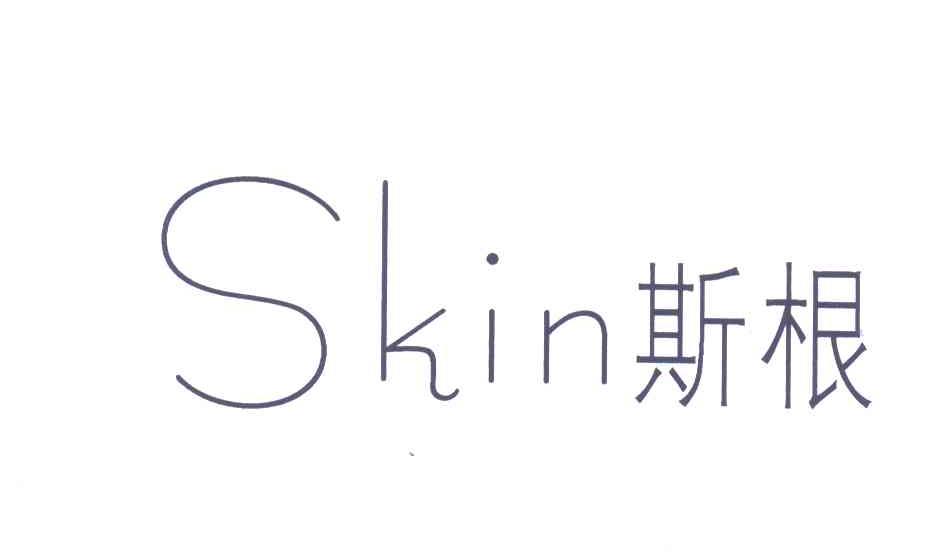 斯根;SKIN