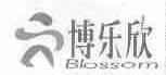 博乐欣  BLOSSOM