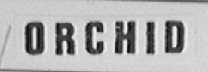 ORCHID