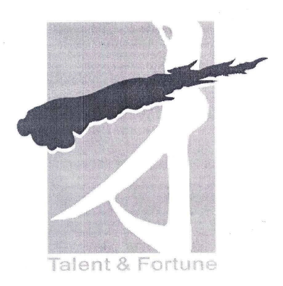 才;TALENT FORTUNE