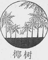 椰树
