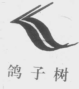 鸽子树