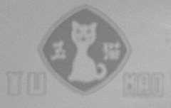 玉猫