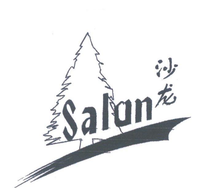 沙龙;SALON