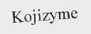 KOJIZYME