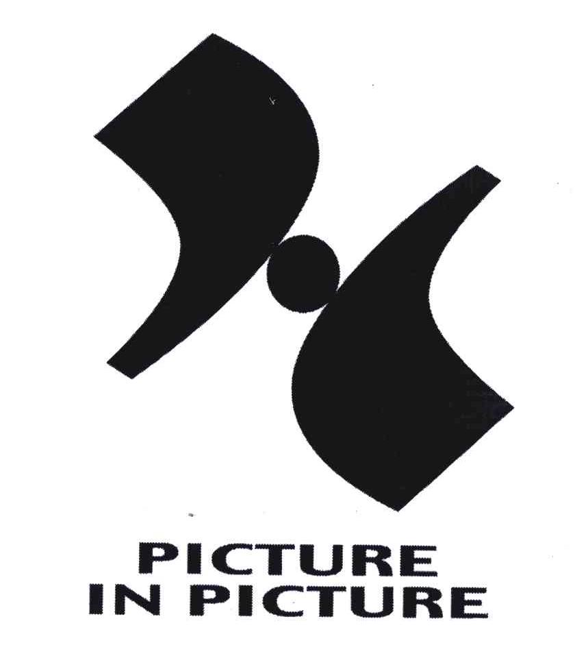 PICTURE IN PICTURE